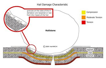 hail-damage-characteristics