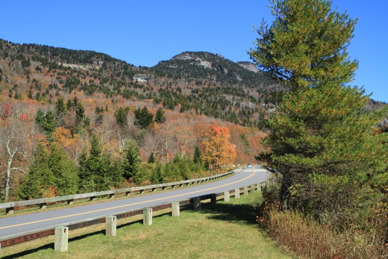 Scenic view of a winding road through the Blue Ridge Mountains in Asheville, NC, showcasing vibrant autumn foliage and clear blue skies, reflecting the area's natural beauty and outdoor appeal.